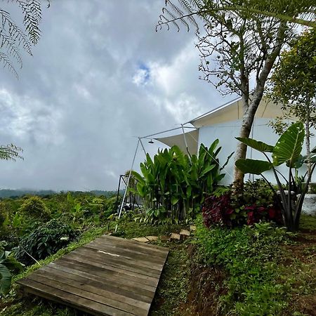 ホテル Harsa Eco Luxury Camp Gobleg  エクステリア 写真