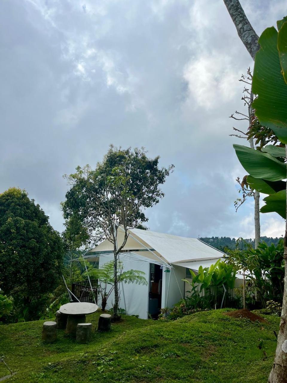 ホテル Harsa Eco Luxury Camp Gobleg  エクステリア 写真